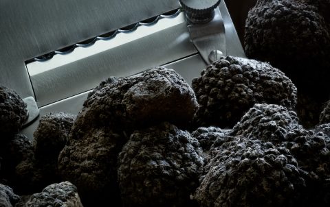 truffes