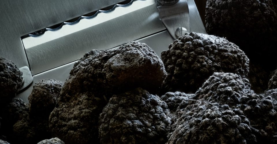 truffes